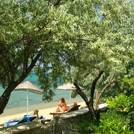 Resort Club Orient